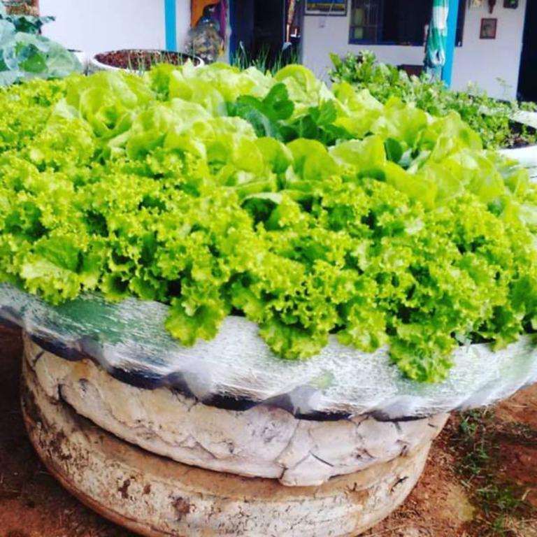 Pousada Shangrila Sao Thome São Tomé das Letras Kültér fotó